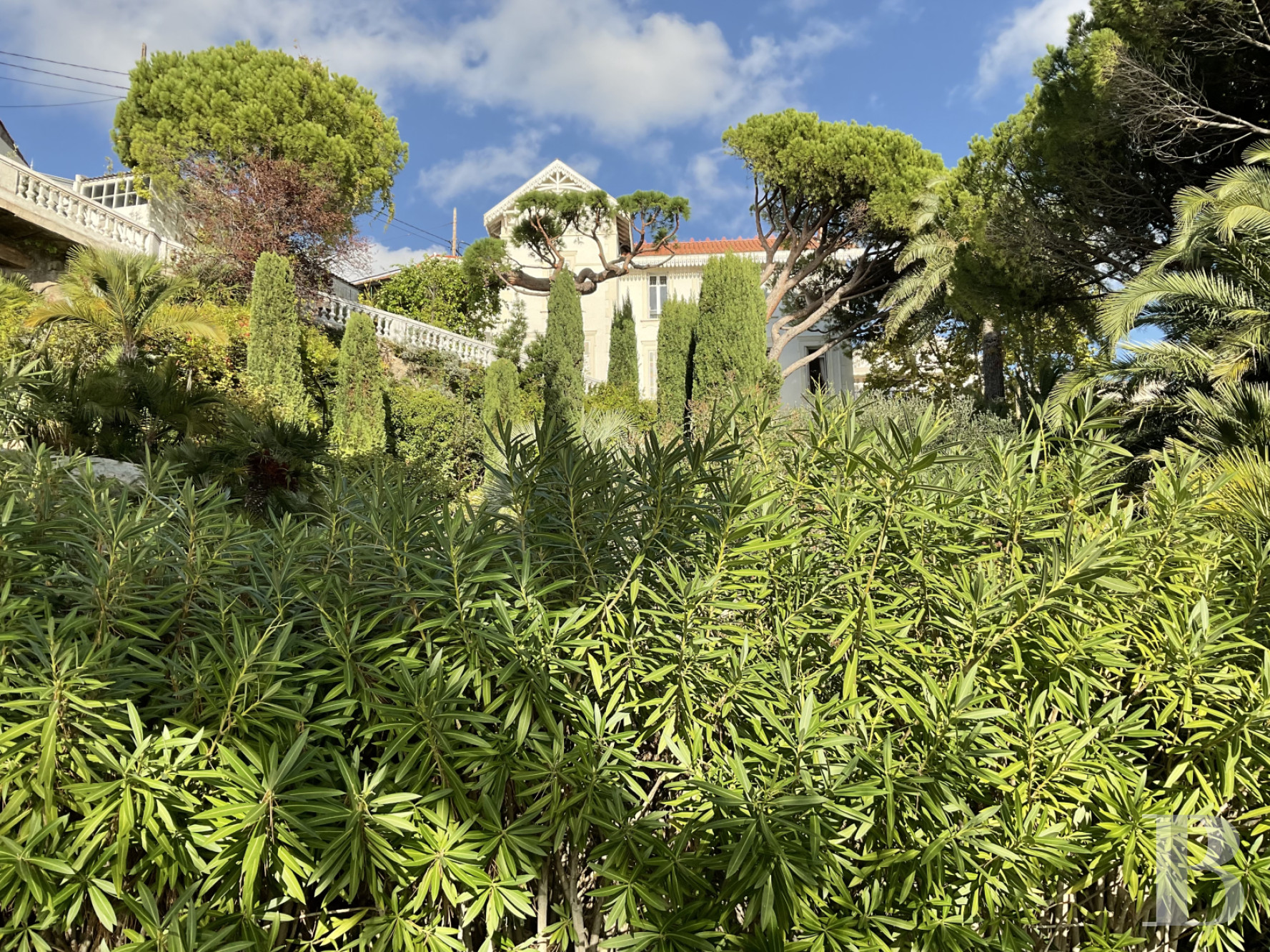 À Marseille, au cœur du Roucas-Blanc, une villa du 19ème siècle et ses spectaculaires jardins et rocailles dominant la corniche - photo  n°19